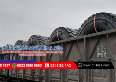 PT Bintang Samudera Asia Galeri-foto (1)